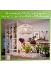 LED Classic 60W ST64 E27 Kısılabilir Filament Ampul WGD90