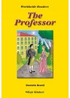 Level 6 - The Professor