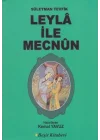 Leyla ile Mecnun