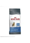 Light 1.5 Kg Kedi Maması