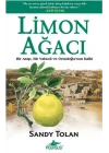Limon Ağacı