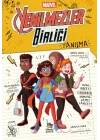 Marvel Yenilmezler Birliği-1 Tanışma
