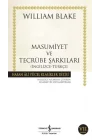 Masumiyet ve Tecrübe Şarkıları - Hasan Ali Yücel Klasikleri