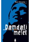 Mavi Kirazlar - Damdaki Melek