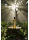 Mendil Ağacı Yağı 500 ML - Bitkisel Yağ, BTY-ADY67809