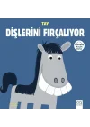 Merhaba Küçük Deha - Tay Dişlerini Fırçalıyor