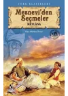 Mesneviden Seçmeler