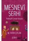 Mesnevi Şerhi