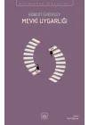 Mevki Uygarlığı