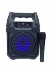 Mey İthalat® 10W Güçlü Ses Performanslı Bluetooth Karaoke Hoparlörü