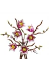Mey İthalat® 11510  Botanicals Manolya Dalları+18 yaş
