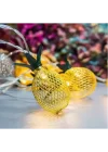 Mey İthalat® 2 Metre 10 LED Pilli 2 Kademeli Ananas Led Işık