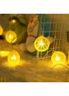 Mey İthalat® 2m 10 Led Pilli Limon Işık