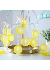 Mey İthalat® 2m 10 Led Pilli Limon Işık