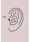 Mey İthalat® 316L Çelik Gümüş Renk Çivi Model Piercing