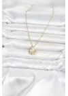 Mey İthalat® 316L Çelik Zincir Gold Renk Deniz Kabuğu Model Kadın Kolye