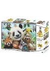 Mey İthalat® 3D - Hayvanat Bahçesi Selfie 500 Parça Yetişkin Puzzle