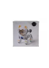 Mey İthalat® 4D-Y14 UZAKTAN KUMANDALI SEVİMLİ KEDİ KÖPEK ROBOT
