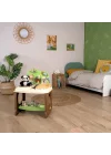 Mey İthalat® 7600340406 Animal Care Center