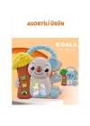 Mey İthalat® 8808-C KOALALI PİYANO 8 Lİ BOX -CN