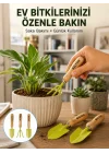 Mey İthalat® Ahşap Saplı Mini Bahçe El Aleti Seti Saksı ve Çiçek Bakım Seti