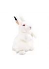 Mey İthalat®  Beyaz Tavşan Peluş 28 cm