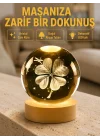 Mey İthalat® Bitki Temalı LED Işıklı Cam Küre Ahşap Standlı Modern Gece Lambası