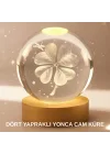 Mey İthalat® Bitki Temalı LED Işıklı Cam Küre Ahşap Standlı Modern Gece Lambası