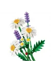 Mey İthalat® Botanicals Papatyalar 11508