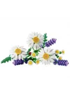Mey İthalat® Botanicals Papatyalar 11508