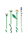 Mey İthalat® Botanicals Papatyalar 11508