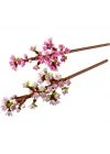 Mey İthalat® Cherry Blossoms