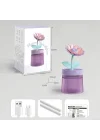 Mey İthalat® Çiçek Hava Nemlendirici
