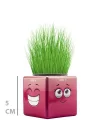 Mey İthalat® Çim Adam Mini Küp Emoji Figürlü 1 Adet