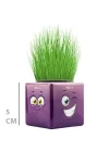 Mey İthalat® Çim Adam Mini Küp Emoji Figürlü 1 Adet