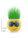 Mey İthalat® Çim Adam Saksı Emoji Figürlü 1 Adet