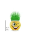 Mey İthalat® Çim Adam Saksı Emoji Figürlü 1 Adet