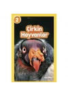 Mey İthalat® Çirkin Hayvanlar