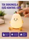 Mey İthalat® Dekoratif Armut LED Lamba Renk Ayarlı Şarj Edilebilir