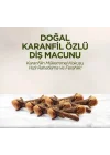 Mey İthalat®   Doğal Diş Macunu 90 Gr Karanfil