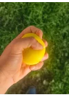Mey İthalat® El Bilek Güçlendirme Topu Medium