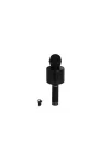 Mey İthalat® EMR-101 KUTULU KARAOKE MİKROFON