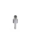 Mey İthalat® EMR-101 KUTULU KARAOKE MİKROFON