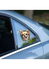 Mey İthalat® Fulcar Chiuahua Araç Stickerı