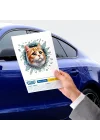 Mey İthalat® Fulcar Sarman Araç Stickerı