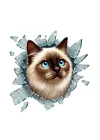 Mey İthalat® Fulcar Siamesse Araç Stickerı