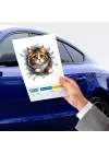 Mey İthalat® Fulcar Stray Araç Stickerı