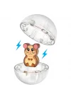 Mey İthalat® Hamster Topu 13 Parça