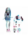 Mey İthalat® HPD53 Monster High Ana Karakter Bebekler