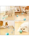 Mey İthalat® İnteraktif Kedi Köpek Şarjlı Oyun Topu